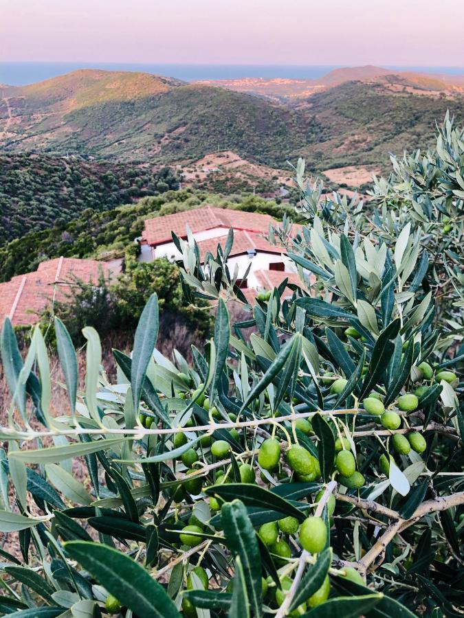 Trasicca B&B Brunella Εξωτερικό φωτογραφία