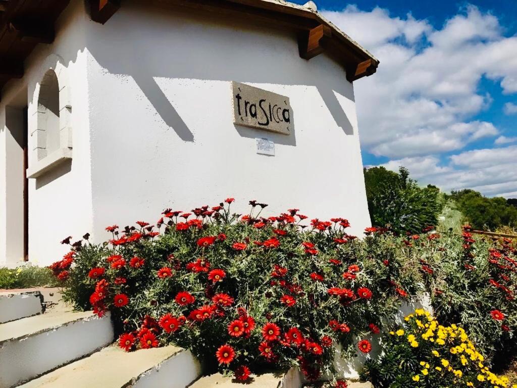 Trasicca B&B Brunella Εξωτερικό φωτογραφία