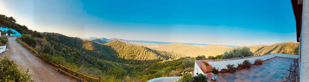 Trasicca B&B Brunella Εξωτερικό φωτογραφία