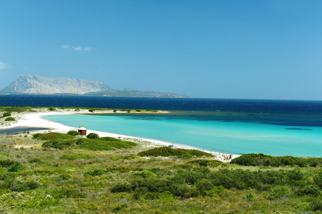 Trasicca B&B Brunella Εξωτερικό φωτογραφία