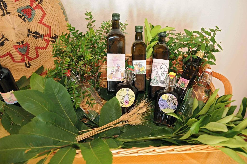 Trasicca B&B Brunella Εξωτερικό φωτογραφία